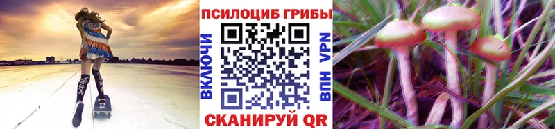 Псилоцибиновые грибы прущие грибы  наркота  Карабаш 
